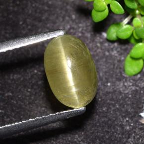 Oeil de chat Apatite Jaune neutre naturelle Coupe ovale, 2.32 ct, Translucide