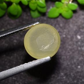 Oeil de chat Apatite Jaune terreux naturelle Coupe roude, 2.17 ct, Translucide