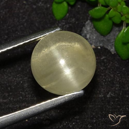 Apatite œil de chat jaune neutre naturelle coupe roude, 4,18 ct, transparent