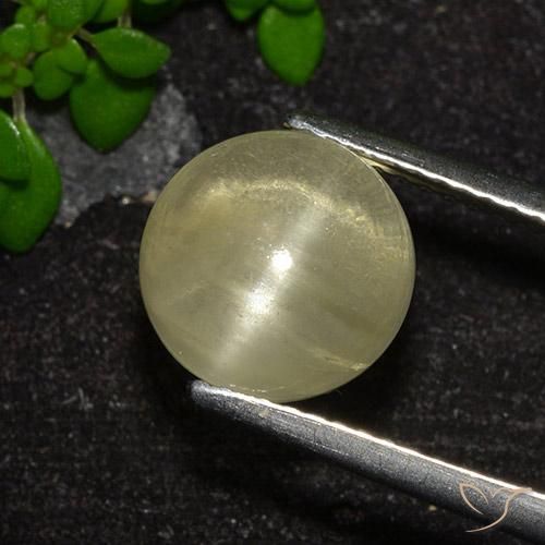 Apatite œil de chat jaune neutre naturelle coupe roude, 4,18 ct, transparent
