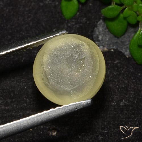 Apatite œil de chat jaune neutre naturelle coupe roude, 4,18 ct, transparent