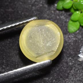 Apatite œil de chat Jaune moyen naturelle Coupe roude, 3,50 ct, Transparent