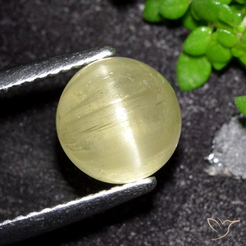 3.41ct Naturel Jaune moyen Oeil de chat Apatite, Tour, Translucide