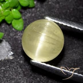 Oeil de chat Apatite Jaune moyen naturelle Tour, 3.41 ct, Translucide