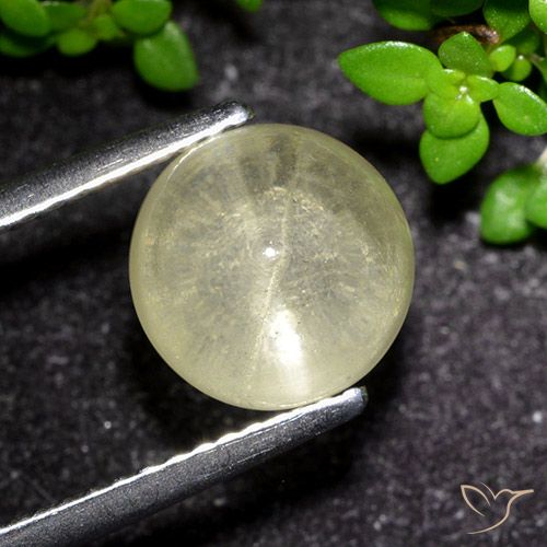 3.48ct Naturel Jaune pâle Oeil de chat Apatite, Tour, Transparent
