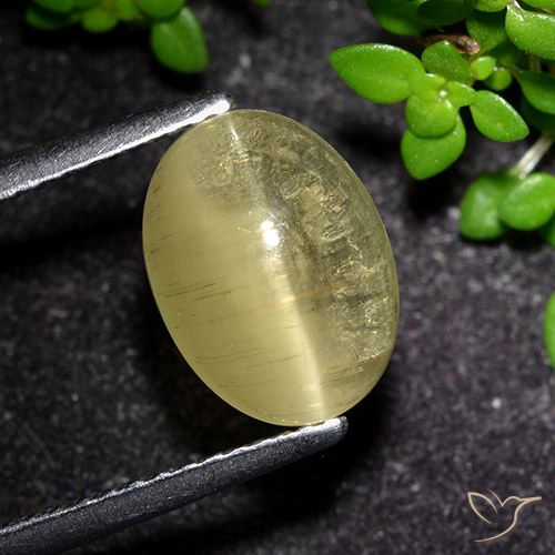 3.09ct Naturel Jaune moyen Oeil de chat Apatite, ovale, Transparent