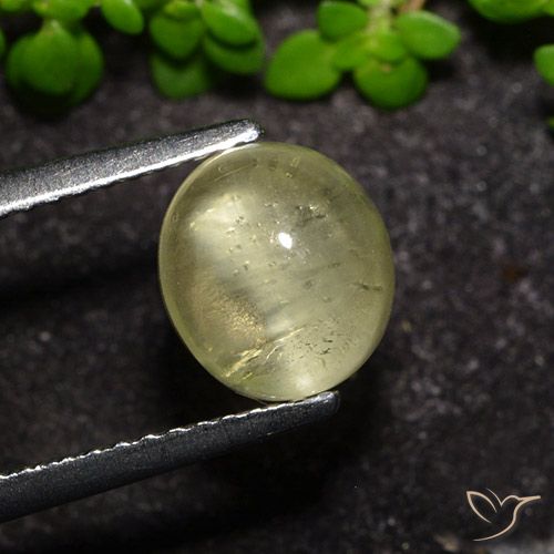 2.34ct Naturel Jaune neutre Oeil de chat Apatite, ovale, Transparent