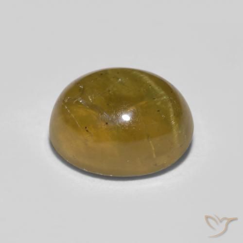 Oeil de chat Apatite Jaune brunâtre naturelle ovale, 1.76 ct, Translucide