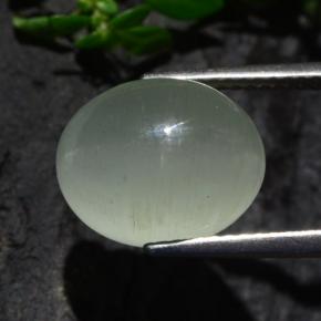 Cat's eye aquamarine vert naturelle coupe ovale, 7,13 ct, translucide