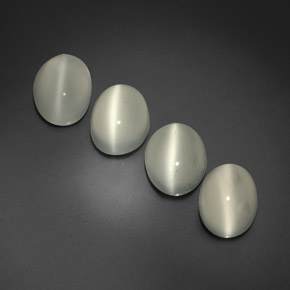Achetez naturel ct blanc cat's eye moonstone gems, transparent, en provenance inde chez gemselect. en stock, livraison internationale!