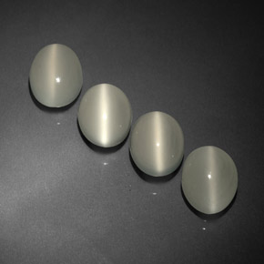 Achetez naturel ct blanc cat's eye moonstone gems, transparent, en provenance inde chez gemselect. en stock, livraison internationale!