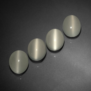 Achetez naturel ct blanc cat's eye moonstone gems, transparent, en provenance inde chez gemselect. en stock, livraison internationale!