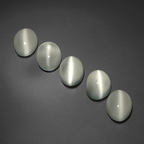 Achetez naturel ct blanc cat's eye moonstone gems, transparent, en provenance inde chez gemselect. en stock, livraison internationale!