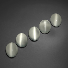 Achetez naturel ct blanc cat's eye moonstone gems, transparent, en provenance inde chez gemselect. en stock, livraison internationale!