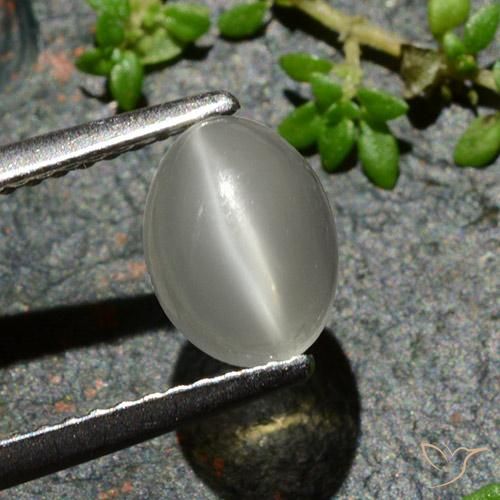 1.02ct Naturel Blanc chaud Pierre de lune œil de chat, ovale, Translucide