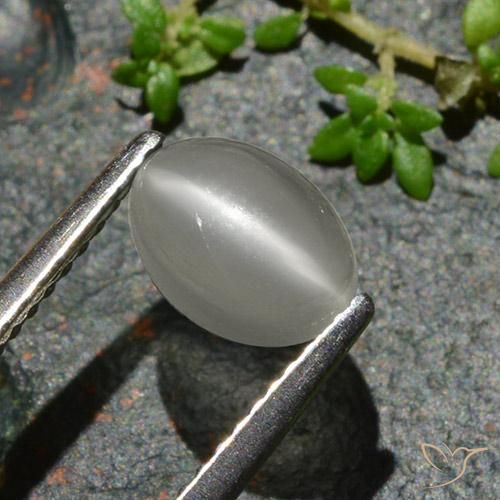 Pierre de lune œil de chat Blanc chaud naturelle ovale, 1.02 ct, Translucide