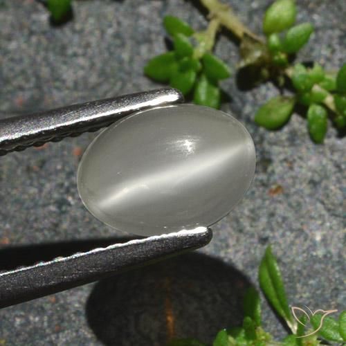 Pierre de lune œil de chat Blanc chaud naturelle ovale, 1.02 ct, Translucide