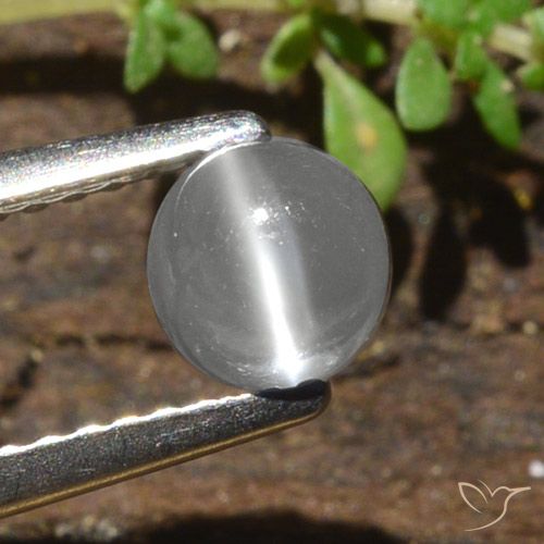 0.84ct Naturel Blanc Oeil de chat de la Pierre de Lune, Tour, Translucide