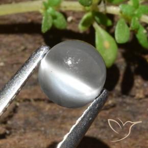 Pierre de lune œil de chat Blanc naturelle Tour, 0.84 ct, Translucide