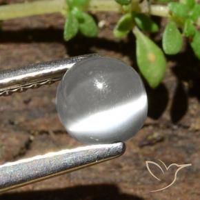 Pierre de lune œil de chat Blanc naturelle Tour, 0.84 ct, Translucide