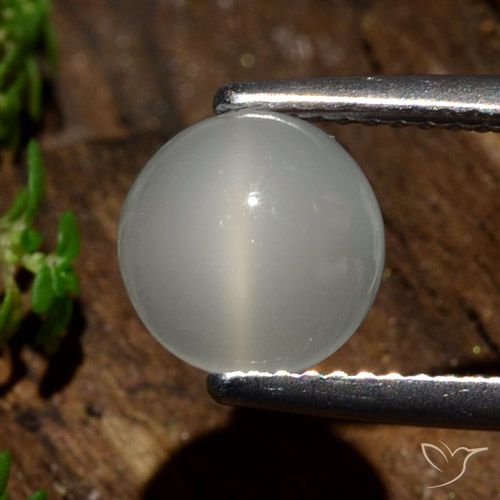 2.09ct Naturel Blanc chaud Pierre de lune œil de chat, Tour, Translucide
