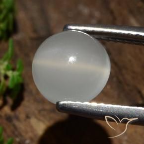 Pierre de lune œil de chat Blanc chaud naturelle Tour, 2.09 ct, Translucide