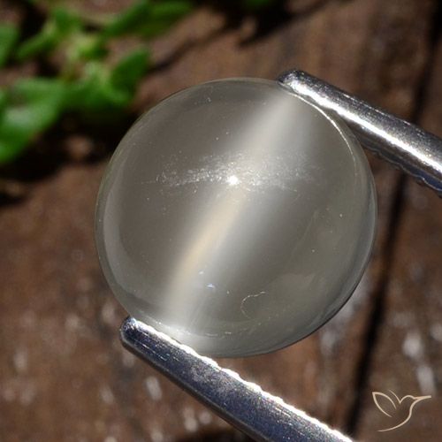 3.25ct Naturel Blanc chaud Pierre de lune œil de chat, Tour, Translucide