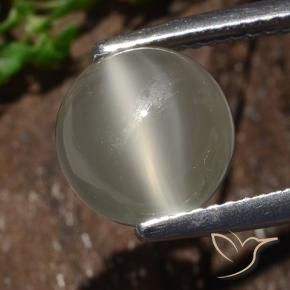 Pierre de lune œil de chat Blanc chaud naturelle Tour, 3.25 ct, Translucide
