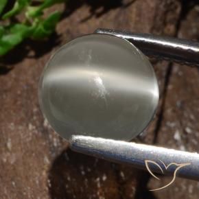 Pierre de lune œil de chat Blanc chaud naturelle Tour, 3.25 ct, Translucide