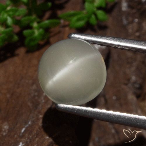 2.30ct Naturel Jaune clair Pierre de lune œil de chat, Tour, Translucide