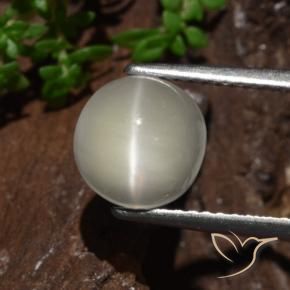 Pierre de lune œil de chat Jaune clair naturelle Tour, 2.30 ct, Translucide
