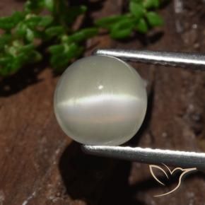 Pierre de lune œil de chat Jaune clair naturelle Tour, 2.30 ct, Translucide