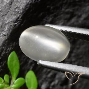 Pierre de lune œil de chat Blanc naturelle Coupe ovale, 1.94 ct, Transparent