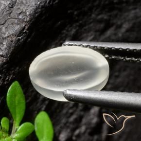Pierre de lune œil de chat Blanc naturelle Coupe ovale, 1.94 ct, Transparent