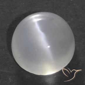 Pierre de lune œil de chat Blanc translucide naturelle Tour, 1.52 ct, Transparent