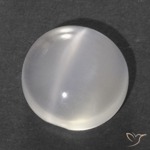 1.12ct Naturel Blanc Pierre de lune œil de chat, Tour, Transparent