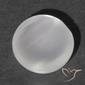 Pierre de lune œil de chat Blanc naturelle Tour, 1.12 ct, Transparent