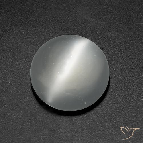 Pierre de lune œil de chat Blanc naturelle Tour, 1.37 ct, Transparent