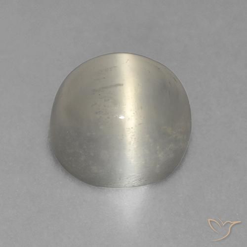Pierre de lune œil de chat Blanc chaud naturelle Tour, 1.57 ct, Transparent