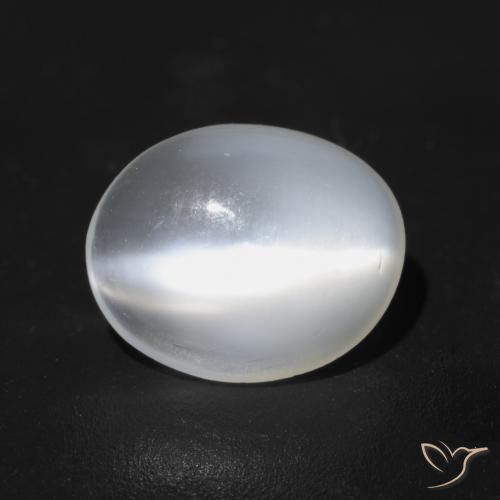 Pierre de lune œil de chat Blanc translucide naturelle ovale, 1.49 ct, Transparent
