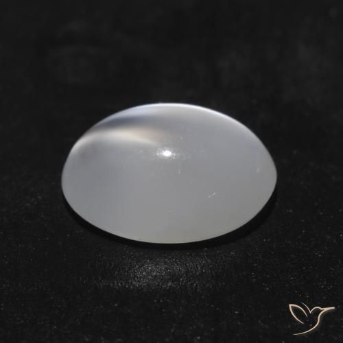 Pierre de lune œil de chat Blanc translucide naturelle ovale, 1.49 ct, Transparent