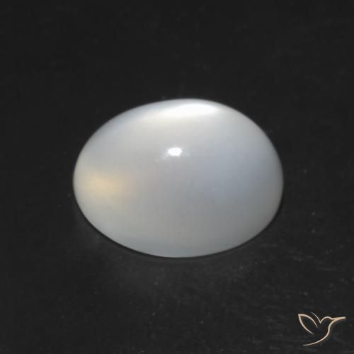 Pierre de lune œil de chat Blanc naturelle ovale, 1.51 ct, Translucide