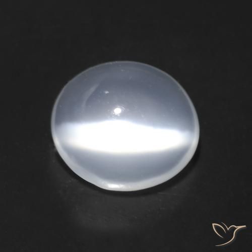 Pierre de lune œil de chat Blanc translucide naturelle Coupe ovale, 1.42 ct, Transparent