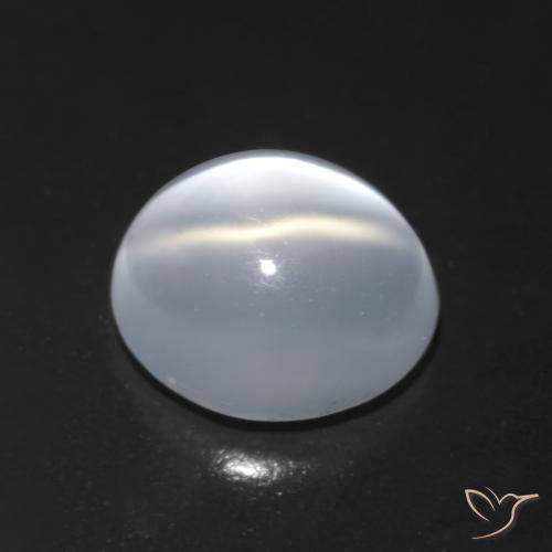 Pierre de lune œil de chat Blanc translucide naturelle Coupe ovale, 1.42 ct, Transparent