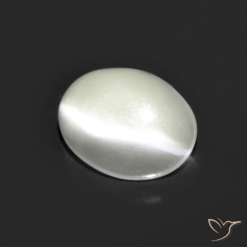 Pierre de lune œil de chat Blanc naturelle Coupe ovale, 1.48 ct, Translucide