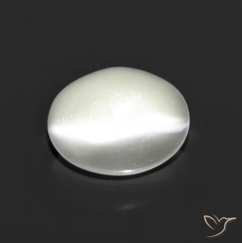 Pierre de lune œil de chat Blanc naturelle Coupe ovale, 1.48 ct, Translucide