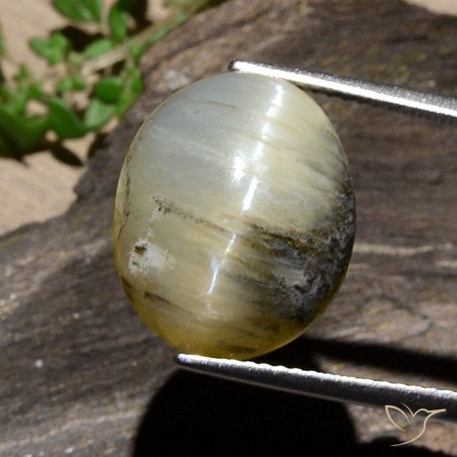 11.91ct Naturel Jaune brunâtre Opale œil de chat, ovale, Opaque