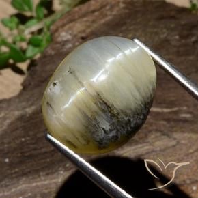 Opale œil de chat Jaune brunâtre naturelle ovale, 11.91 ct, Opaque