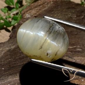 Opale œil de chat Jaune brunâtre naturelle ovale, 11.91 ct, Opaque