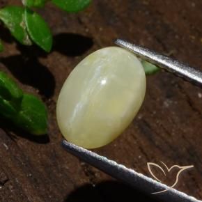 Opale œil de chat Jaune moyen-léger naturelle ovale, 1.80 ct, Translucide